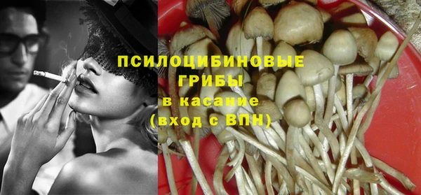 таблы Козловка